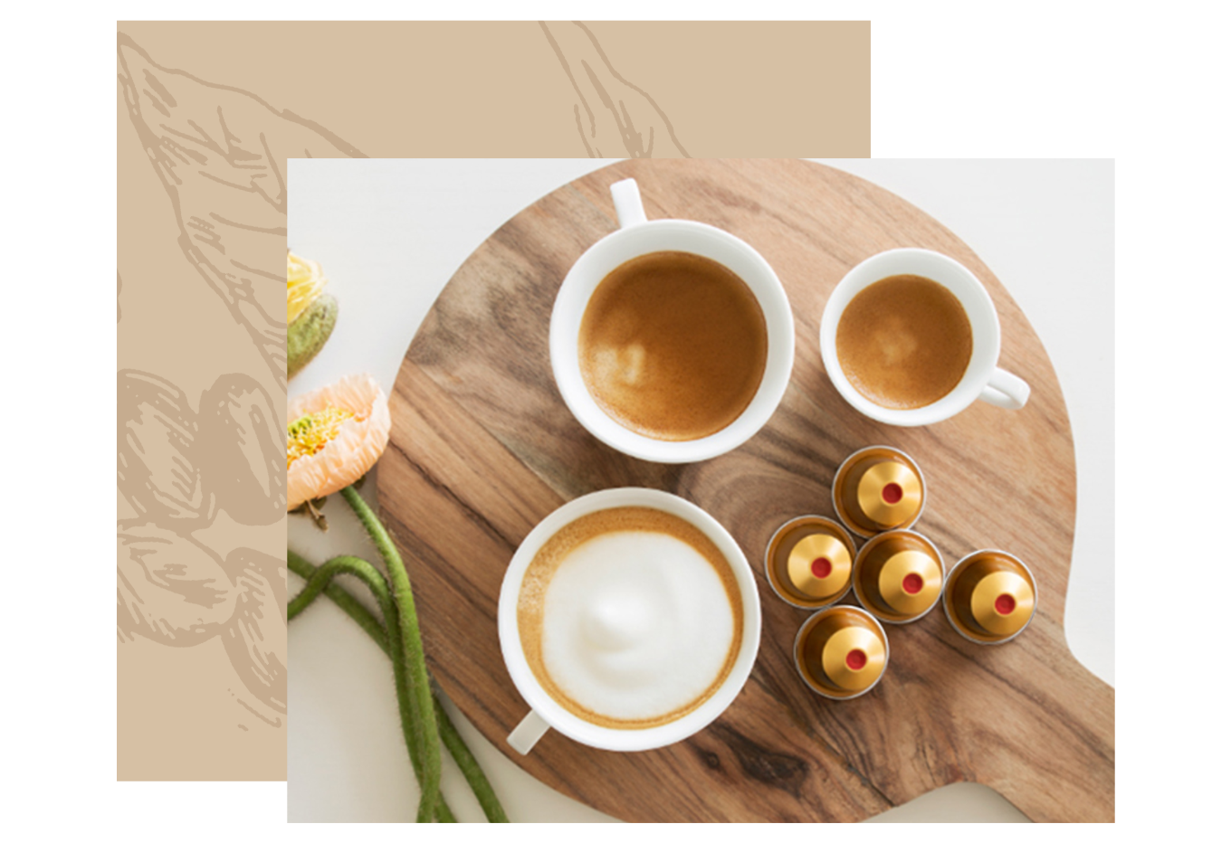 Volluto Decaffeinato│Coffee│Nespresso CN